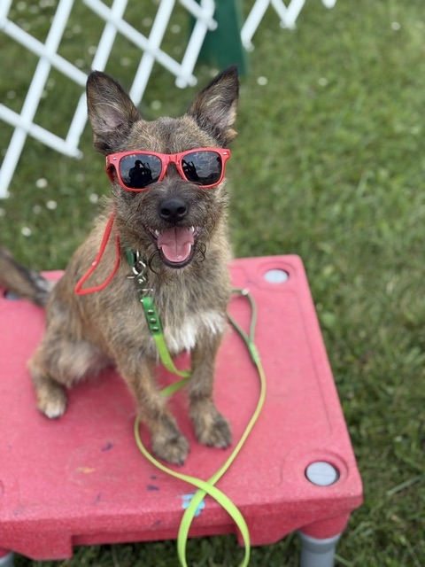 Marketing - Team Zoom - IMG_4703