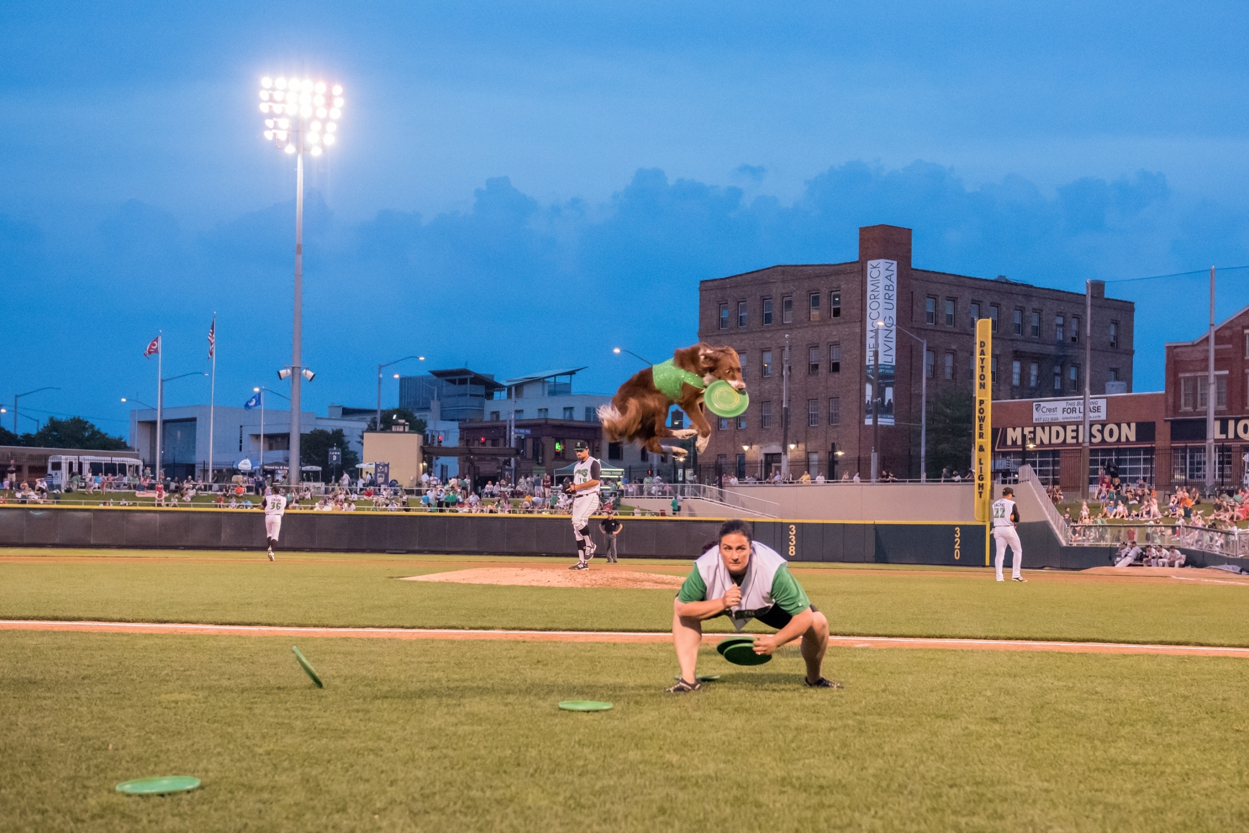 Marketing - Team Zoom - ratchet_dragon_3