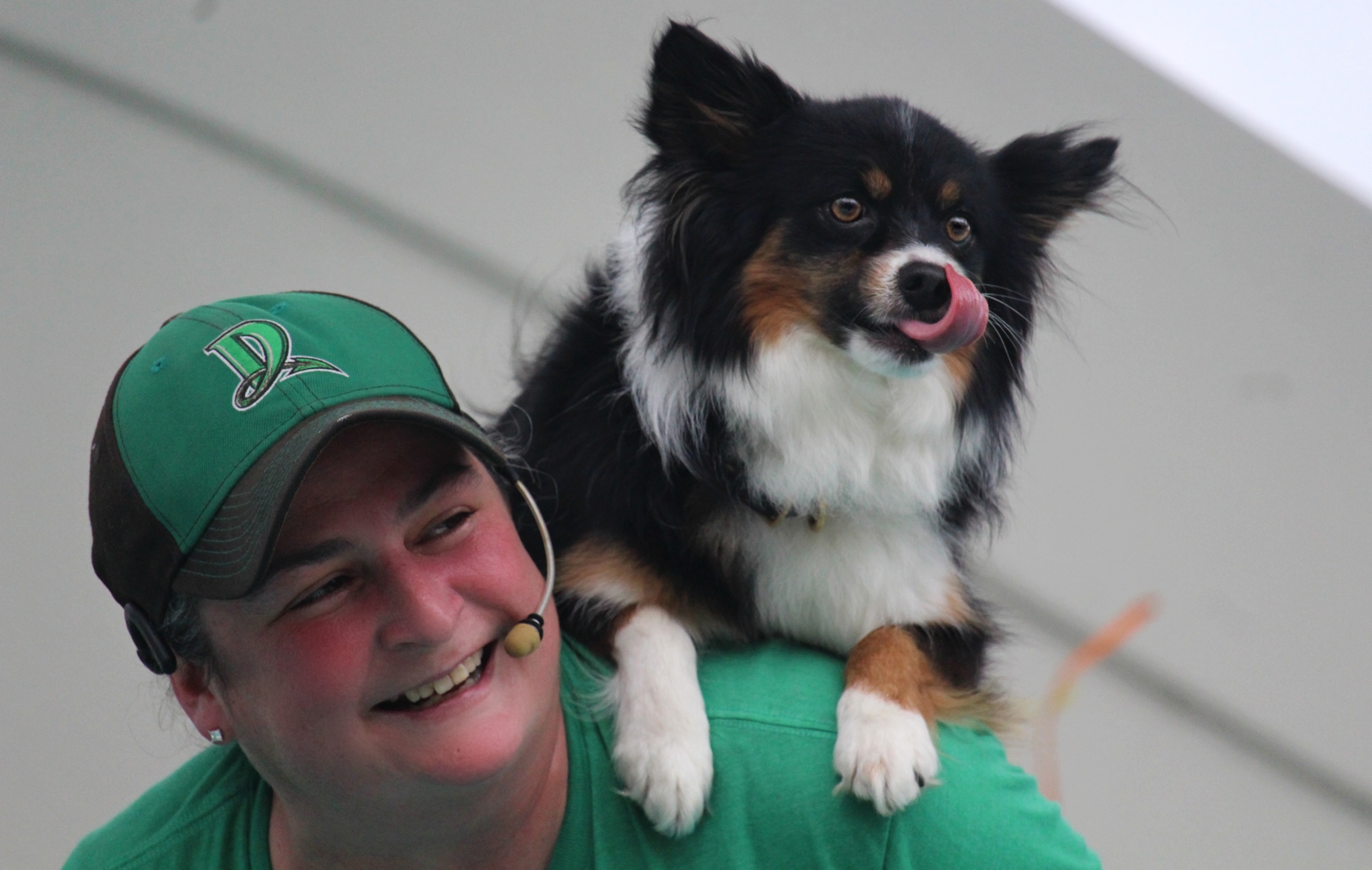 Marketing - Team Zoom - stuntdogshoulder-A