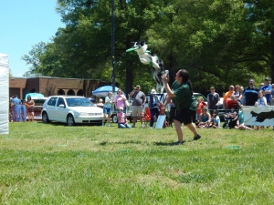 jumping stunt dog from Team Zoom