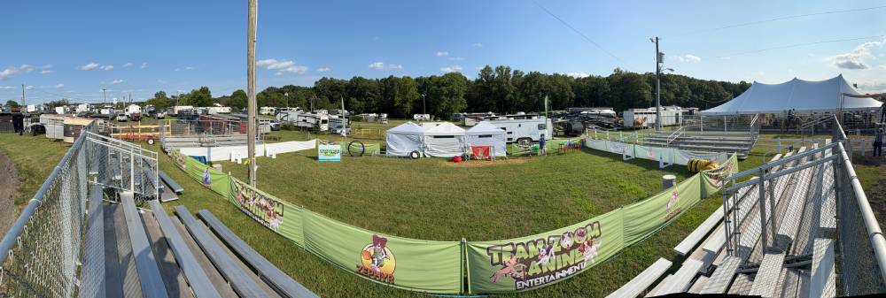 Dog Stunt Show: Fairs & Festivals | Ohio | Team ZOOM - arielfieldagain