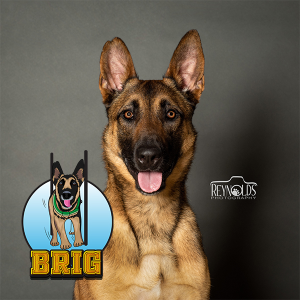 Photo of Brig