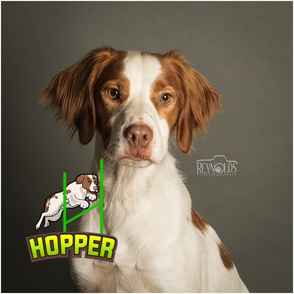 Photo of  Hopper