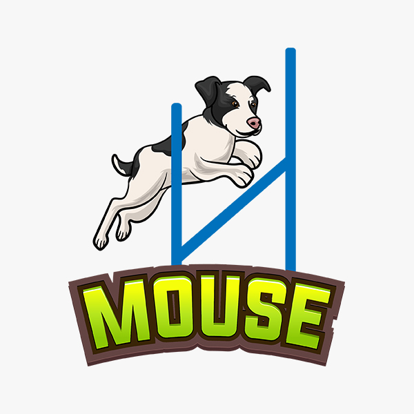 Photo of Mouse