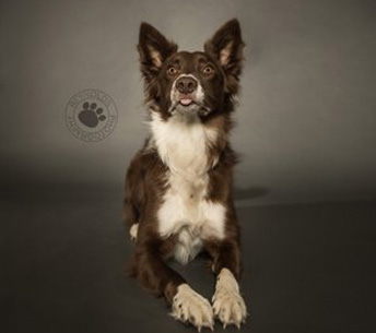 Meet the Team - Team Zoom - ratch1