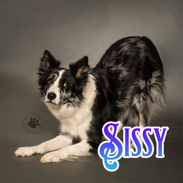 Photo of Sissy