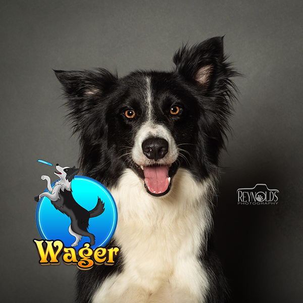 Photo of Wager