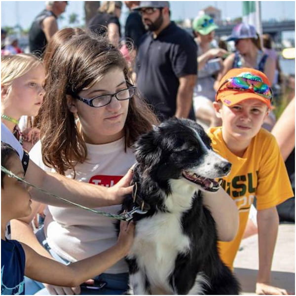 Stunt Dog Show Fair and Festival Entertainment